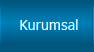 Kurumsal